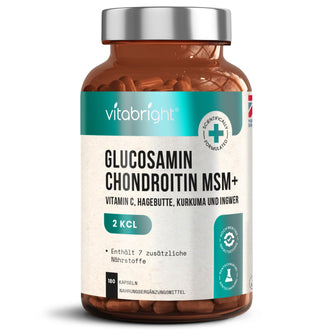 Glucosamin Chondroitin MSM