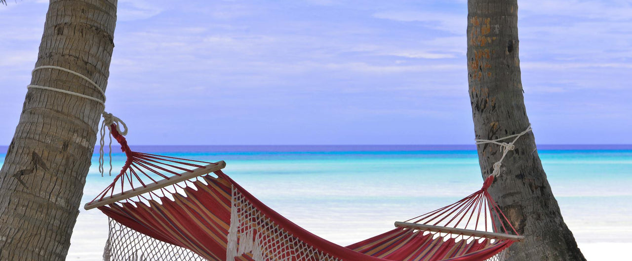 Why is Nutrition so Important for Mental Health?