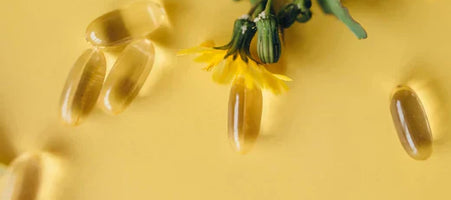 Hemp Seed Oil vs. Omega-3 Oil: Which is Better?