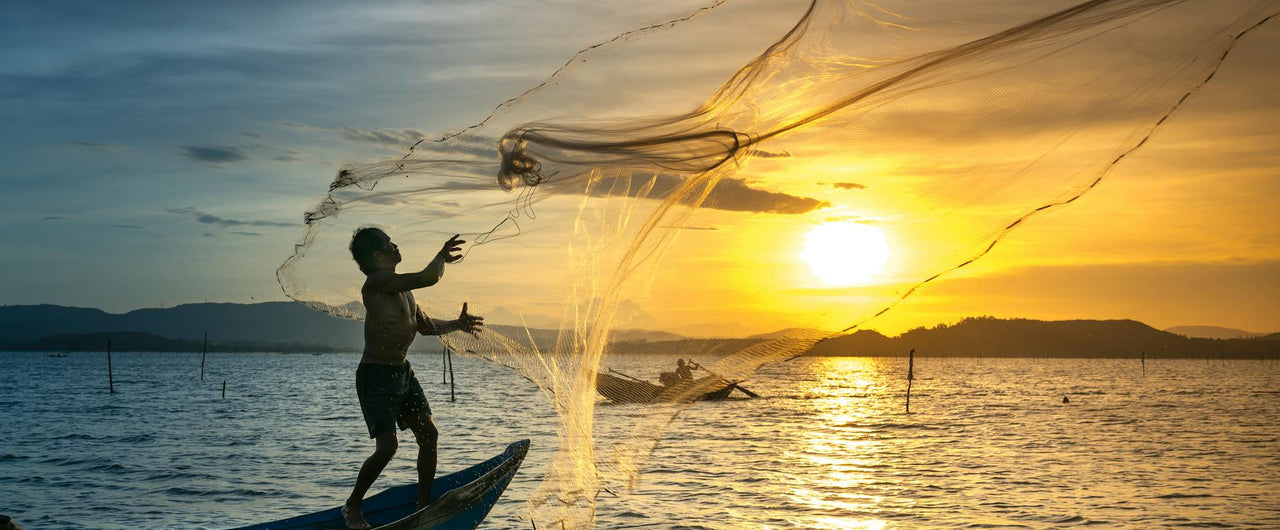 EPA or DHA? All you need to know about Omega 3 Fatty Acids