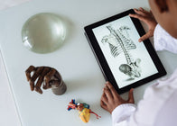 Vitamin D3 & K2: The Bone-Boosting Duo You Need