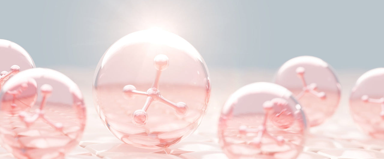 Bovine Collagen vs Marine Collagen: What is the Difference?