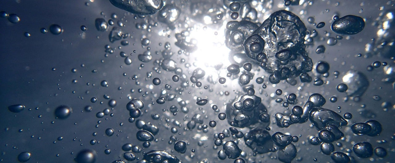 What Is Oxidative Damage? And How to Fight Back