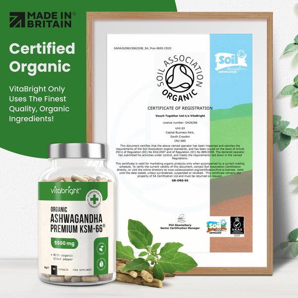 Ashwagandha Tablets Organic KSM-66